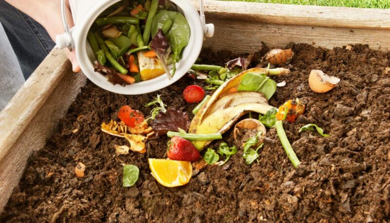 An illustration showing how to reduce food waste by converting non-edible food into compost. The image highlights the process of creating natural fertilizer for plants, promoting a sustainable nutrient cycle.